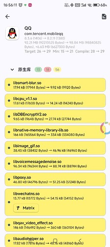 Screenshot_2025-06-29-16-56-11-846_com.absinthe.libchecker