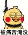 :xhj40: